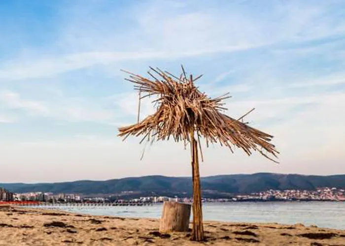 Отель Palma 3*
