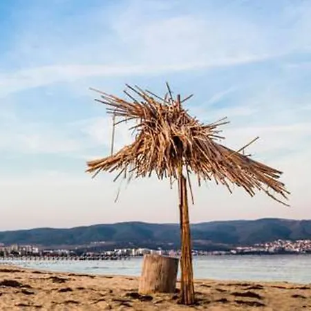Hotel Palma Sunny Beach